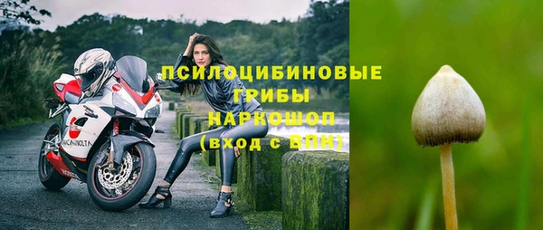 винт Балахна