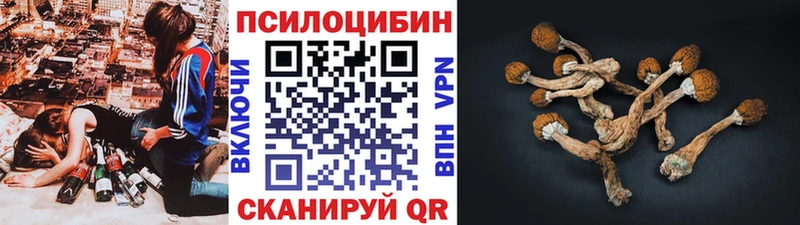 блэк спрут ссылки  Кондрово  Псилоцибиновые грибы ЛСД 