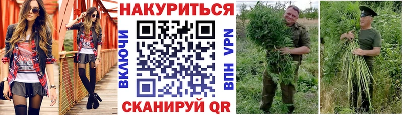 МАРИХУАНА VHQ купить закладку Кондрово